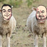 Man&Bone Archive2 (@panamatedhelper) 's Twitter Profile Photo