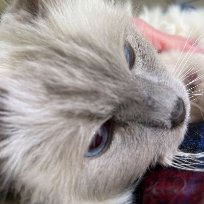 CaddyKathl51230's profile picture. 