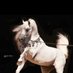 حمزة عبدالله (@hmztb29307) Twitter profile photo