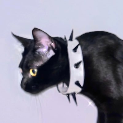 7oaLy's profile picture. 傻逼死远点🫠