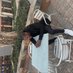 Innocent Motubatse Masemola (@_masemola5517) Twitter profile photo Innocent Motubatse Masemola (@_masemola5517) Twitter profile photo