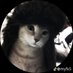 SESE (@shekinah_1_) Twitter profile photo SESE (@shekinah_1_) Twitter profile photo