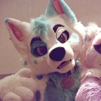 Luke Spots 🔜 LVFC (@luke_spots) 's Twitter Profile Photo