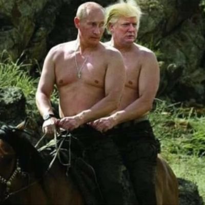 NottaSheep172's profile picture. 