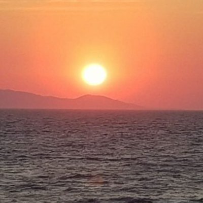 lscmt_'s profile picture. 