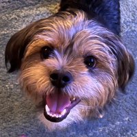 Rebeccaknowsbest (@rebeccagalenti3) 's Twitter Profile Photo Rebeccaknowsbest (@rebeccagalenti3) 's Twitter Profile Photo