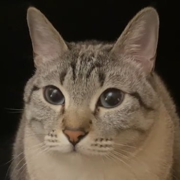 Faithexxd's profile picture. Twitter is biased and a bad platform