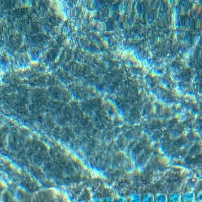 Wade24T's profile picture. Father, sports, trading, fitness, and Steinbeck books.