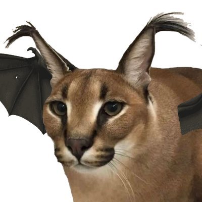 floppacore Profile