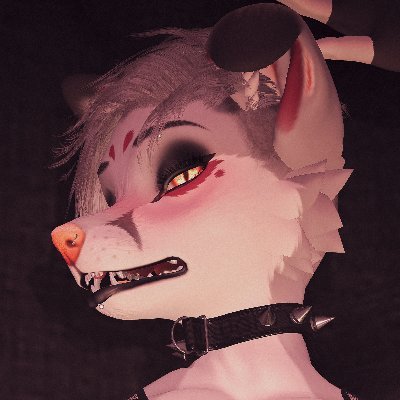 🦊SnowAsh🦊🔞さんのプロフィール画像