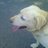 Mojito0101's profile image