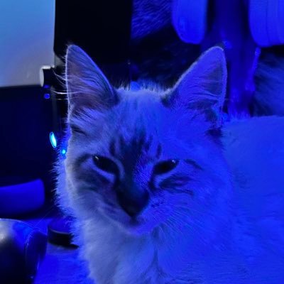vickynesss's profile picture. agora não dá estou ocupada
