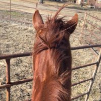Faith Engle (@faithengle4) 's Twitter Profile Photo Faith Engle (@faithengle4) 's Twitter Profile Photo