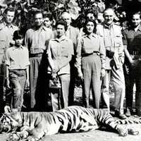 an (@nansequiturs) 's Twitter Profile