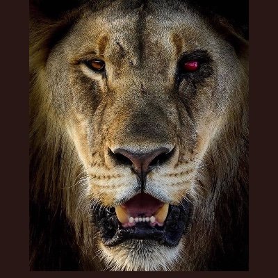 rjfzjr's profile picture. I have the bread, I'm here for the circus
11-470S