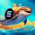 sol_whale (@solwhalery) Twitter profile photo sol_whale (@solwhalery) Twitter profile photo