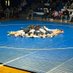 Shore Regional Takedown Club (@srtakedownclub) Twitter profile photo Shore Regional Takedown Club (@srtakedownclub) Twitter profile photo
