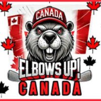 🇨🇦Lizbeth@proudCDN (@proudcdn100) 's Twitter Profile
