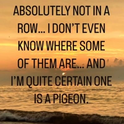 evie7949's profile picture. 