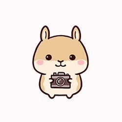 【はむきち】 はむきち (@xuJQ3AQeksu9Tai) / Posts / X