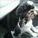 Eric Roby - @ws_29 - Twitter