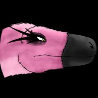 🌿BrendanTheDeinonychus🌿 (@boifu_raptor) 's Twitter Profile