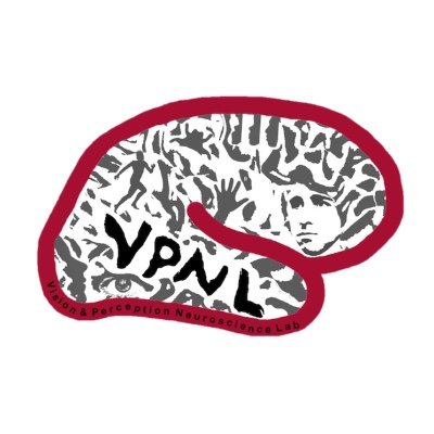 stanford_vpnl's profile picture. Our research utilizes multimodal imaging, computational modeling, and behavioral measurements to investigate human visual cortex. PI: Dr. Kalanit Grill-Spector