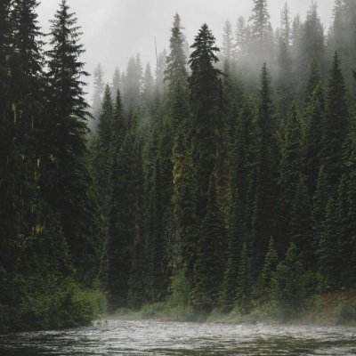 gholamio8462's profile picture. 