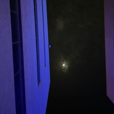 haystacklead's profile picture. 