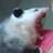 SaritaLaFeita's profile image