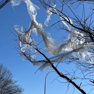 Co-author of book “The Problem With Plastic” Preorder https://t.co/Nww4CsuCiX Former EPA Regional Administrator, Pres of Beyond Plastics, Bennington College faculty.