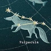 aasterisk17's profile picture. Sick to death of theatrical partisan-subterfuge tactics meant to divert from the corporatocracys’ dismantling of the SEC, EPA, IRS (any attempt at oversight).