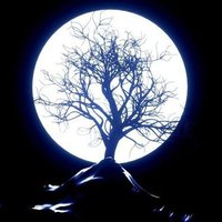 اسعد الخليل (@alkhlyld4123) Twitter profile photo