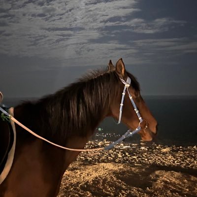 loli__12__'s profile picture. 🇰🇼