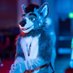 RebelWolf (@rebelbm666) Twitter profile photo RebelWolf (@rebelbm666) Twitter profile photo