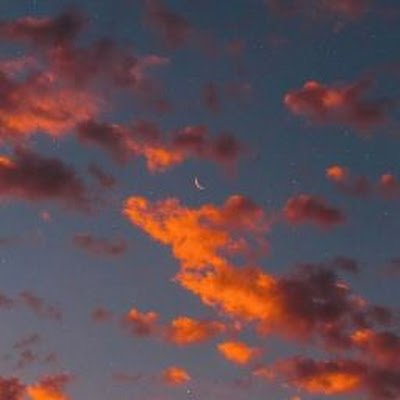 Daniel901231059's profile picture. 