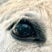 C Proctor (@monarchyuk) 's Twitter Profile Photo C Proctor (@monarchyuk) 's Twitter Profile Photo