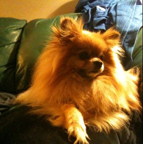 maureenashfield's profile picture. 