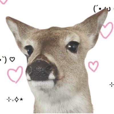 AoifeLeefa's profile picture. Aoife | Licensed MLT(ASCP), Generalist | it/its | 29