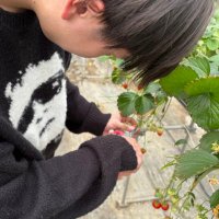 かが　まさや (@kagamasa_44) Twitter profile photo