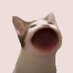 $POPCAT COMMUNITY (@_popcat_solana_) Twitter profile photo $POPCAT COMMUNITY (@_popcat_solana_) Twitter profile photo