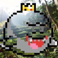 $ttwonald cto (@ttwonaldcto) 's Twitter Profile