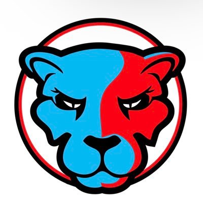 Cuenta Oficial de #LasDelSur en el Sóftbol Superior Nacional Femenino de Puerto Rico.