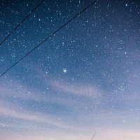 malschaun (@neugierde12) 's Twitter Profile
