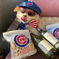 Fuzzy Rohde (@wuffythedog) 's Twitter Profile