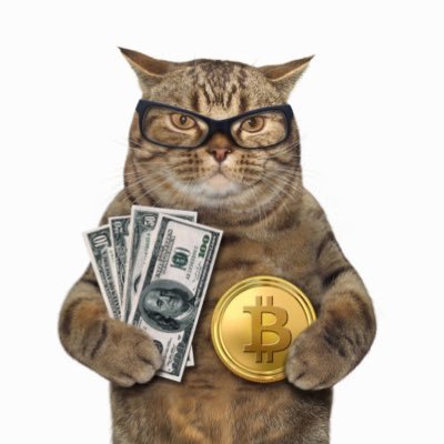 LilaL9999's profile picture. 