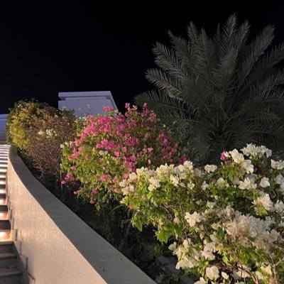 مروُ بسَلام إنّ لم تنفعوُا لا تضرّوا.
