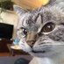 G A โ๐ผ๐ต๐ธ (@jagamalja1) Twitter profile photo G A โ๐ผ๐ต๐ธ (@jagamalja1) Twitter profile photo