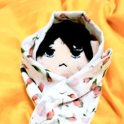 豆イグアナさんのプロフィール画像