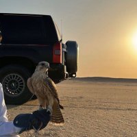 ًًًًً (@hwt7y) 's Twitter Profile